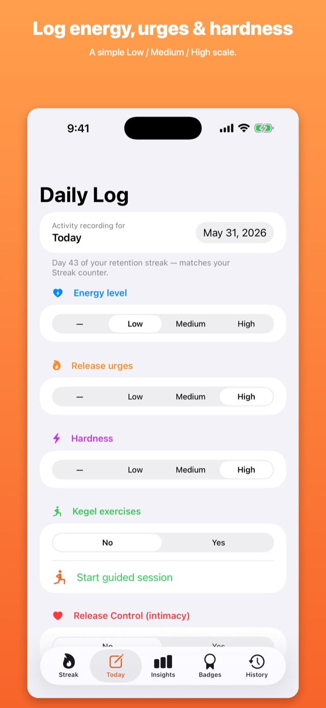 Daily log: energy, urges and hardness on a Low / Medium / High scale